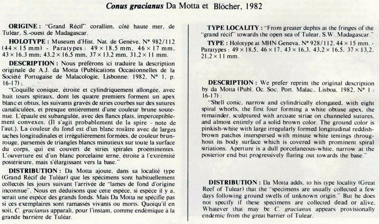 Conus gracianus, da Motta & Blöcher 1982